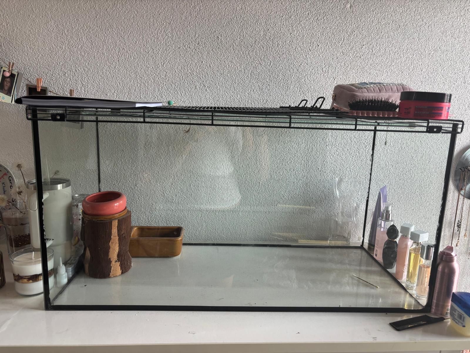 Terrario: Terrarium für Mäuse – Usato da Triengen venduto da jamina25