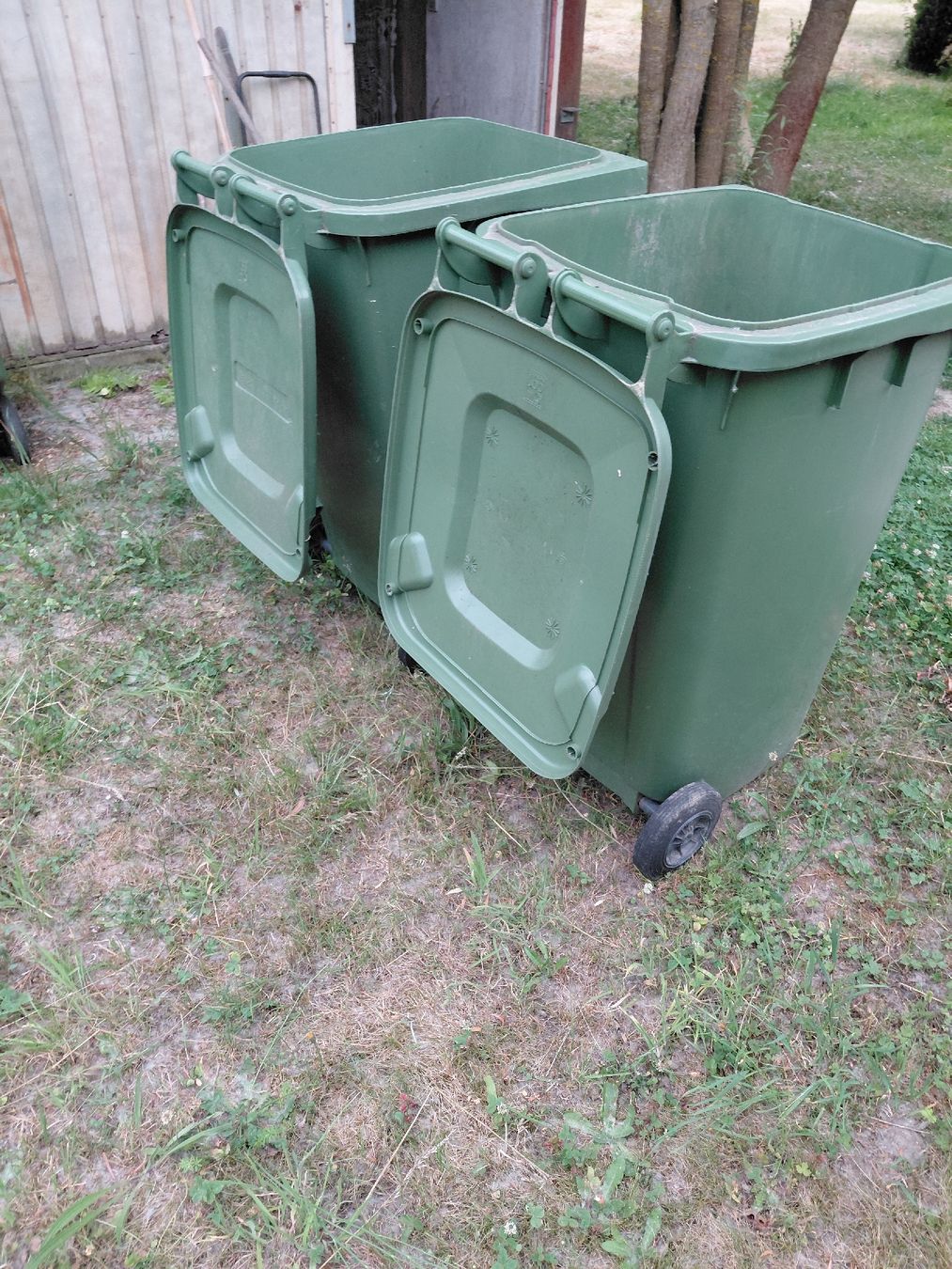 Altro per Ufficio & Commercio: 2 Grüncontainer 240 liter – Usato da zuchwil venduto da parson65