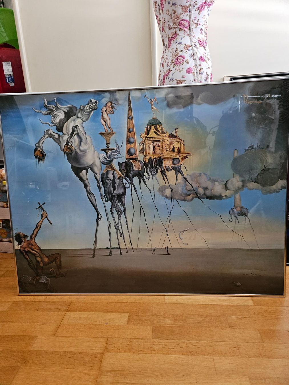 Poster & Bilder: Bild – Gebraucht aus Landquart von Snug01