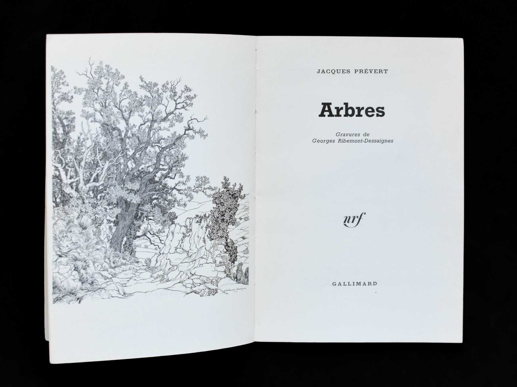 Libri: Jacques Prévert - Arbres (1976) – Usato da Belmont-sur-Yverdon venduto da bichet02 2