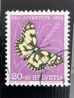 Znr J145.2.03 Weisse punkt in Blatt