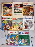 8 Asterix und Obelix Bücher
