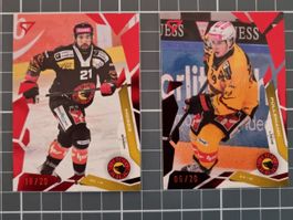 2 x Bern - Sportzoo National League 25/26 Series 1
