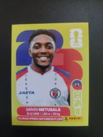 PANINI 2026 -HAI 8