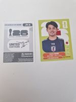 Panini Sticker JPN8