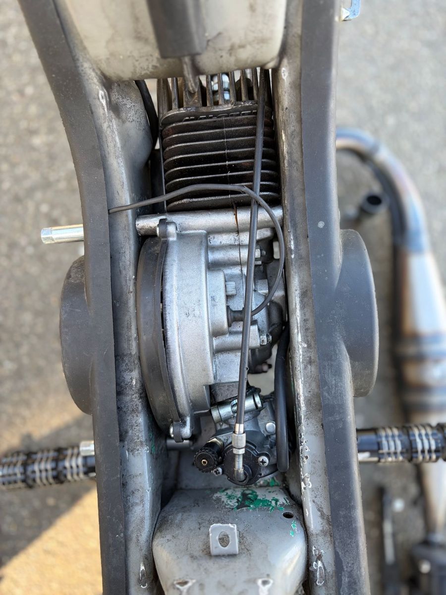 Piaggio Ciclomotori: Piaggio Ciao Mofa, – Usato da Arbon venduto da Lucaobwaller 5