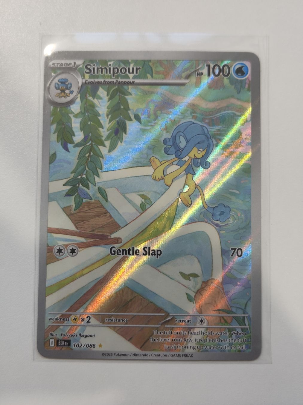 Pokémon Carte collezionabili: Simipour 102/086 Holo EN – Nuovo (secondo la descrizione) da Therwil venduto da Cordachu_Trade
