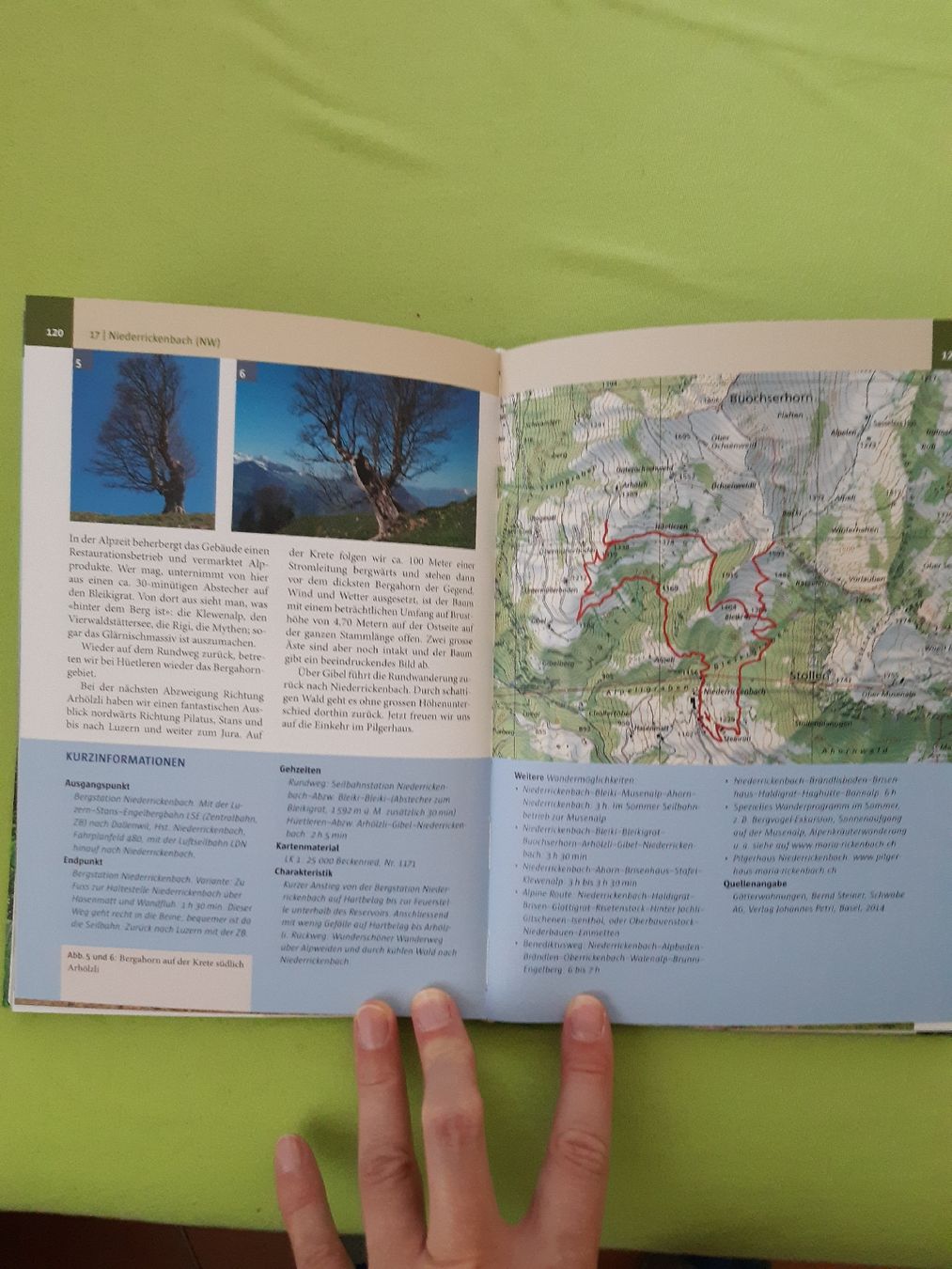 Livres: Baumwanderungen – D'occasion à Bazenheid par batapa 1