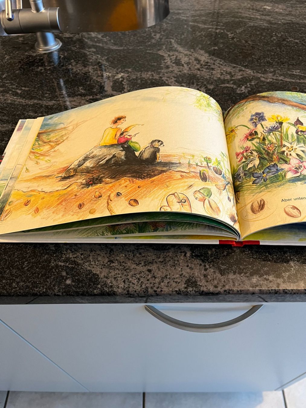 Libri: Kinderbuch, "Zauberkind" Sandra Schuster & Rita Polajnar Top – Usato da Zürich venduto da Roulet 6