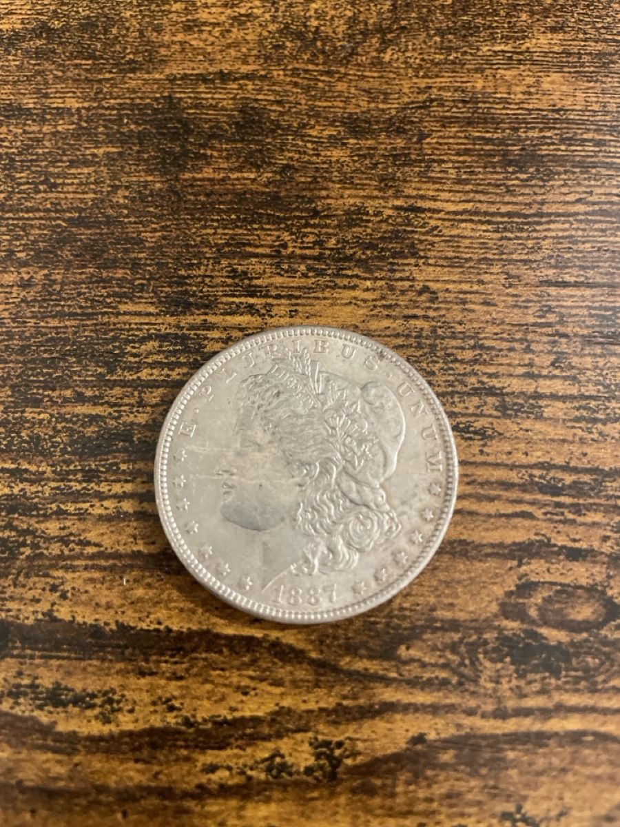 Toutes les monnaies: 1887 Morgan Silver Dollar – D'occasion à Remigen par aganguly 1