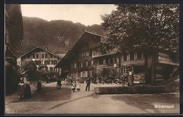 Wilderswil, Strassenpartie mit Brunnen