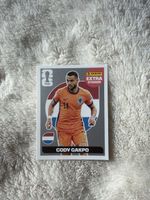 Panini FIFA Extra Sticker Cody Gakpo Niederlande ⚽️