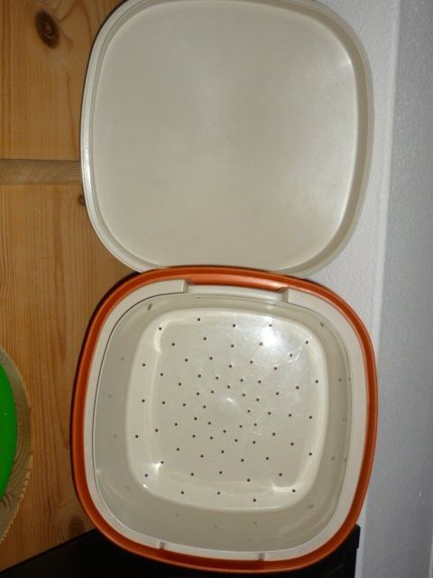 Tupperware Contenitori & Simili: TUPPERWARE DECKEL MIT GEBRAUCHSSPUREN.  SIEHE FOTO – Usato da St.Gallen venduto da Anso 2