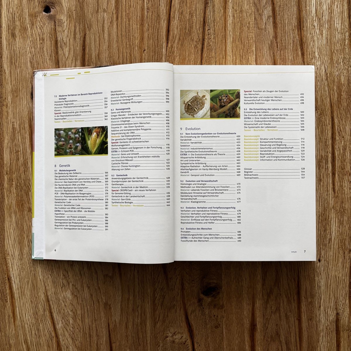 Libri: NATURA 9-12 Schulbuch – Usato da Obernau venduto da dav1de 6