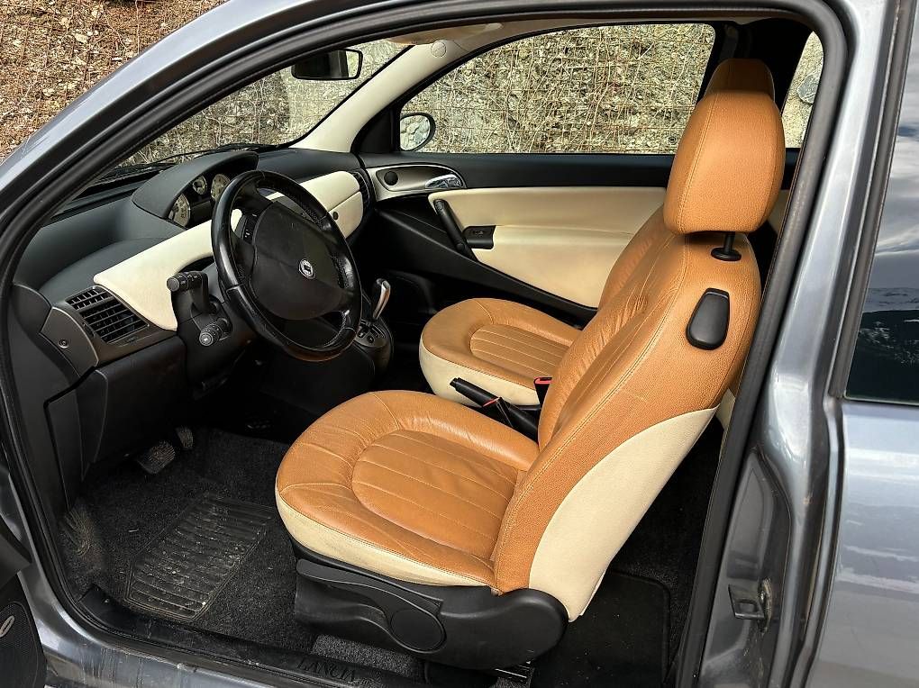 Automobili: LANCIA Ypsilon 1.4 16V Platino – Usato da Schlans venduto da PetArno 3