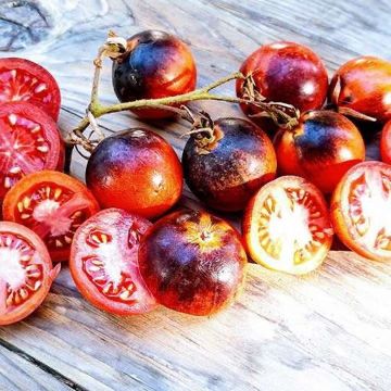Piante & sementi: 50 Samen OZARK SUNSET Tomate – Nuovo (secondo la descrizione) da Ehrendingen venduto da VerveinaSamen 1