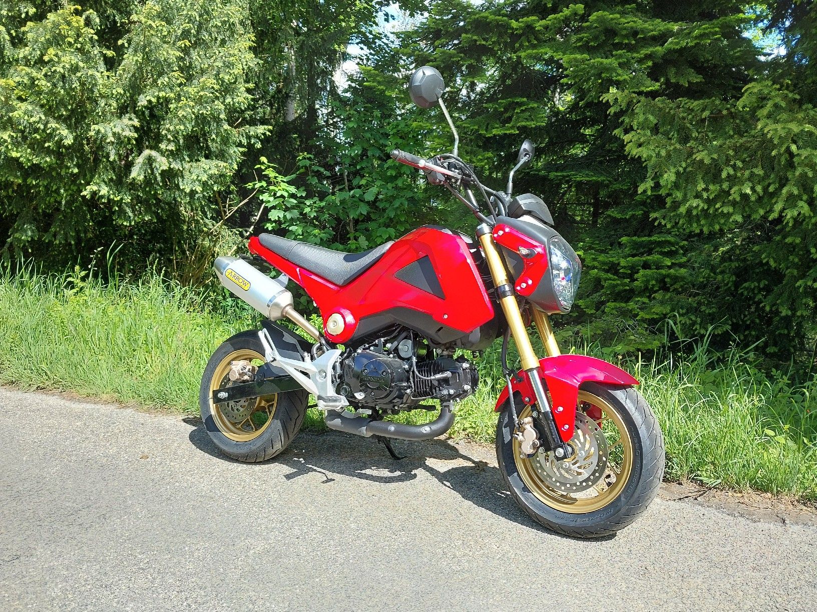 Honda Strasse: Honda MSX 125, frisch ab MFK – Gebraucht aus Saland von Lehmann600 4