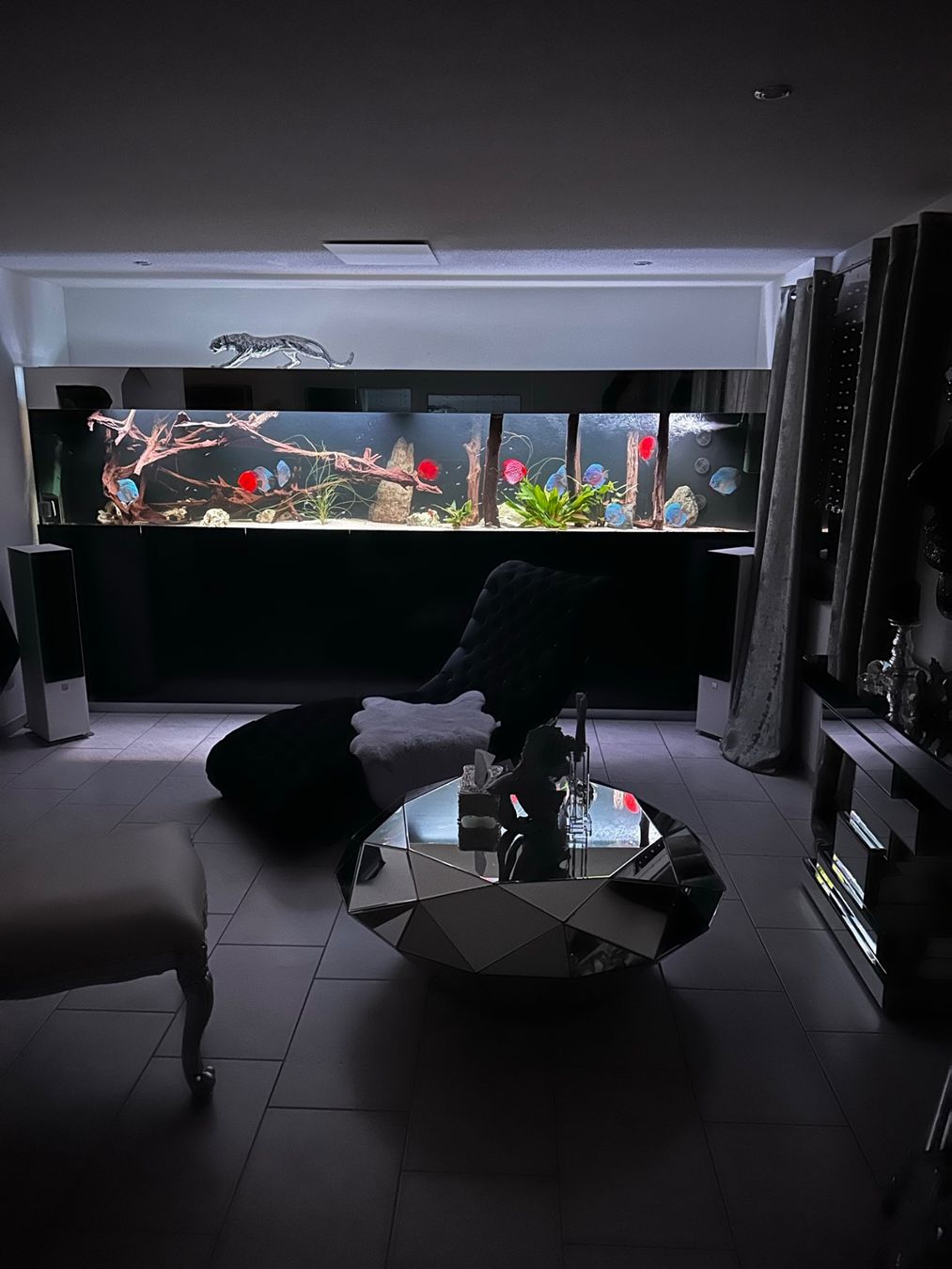 Acquari: Gross Aquarium 400x60x80 – Nuovo (secondo la descrizione) da Berikon venduto da fischundart 1