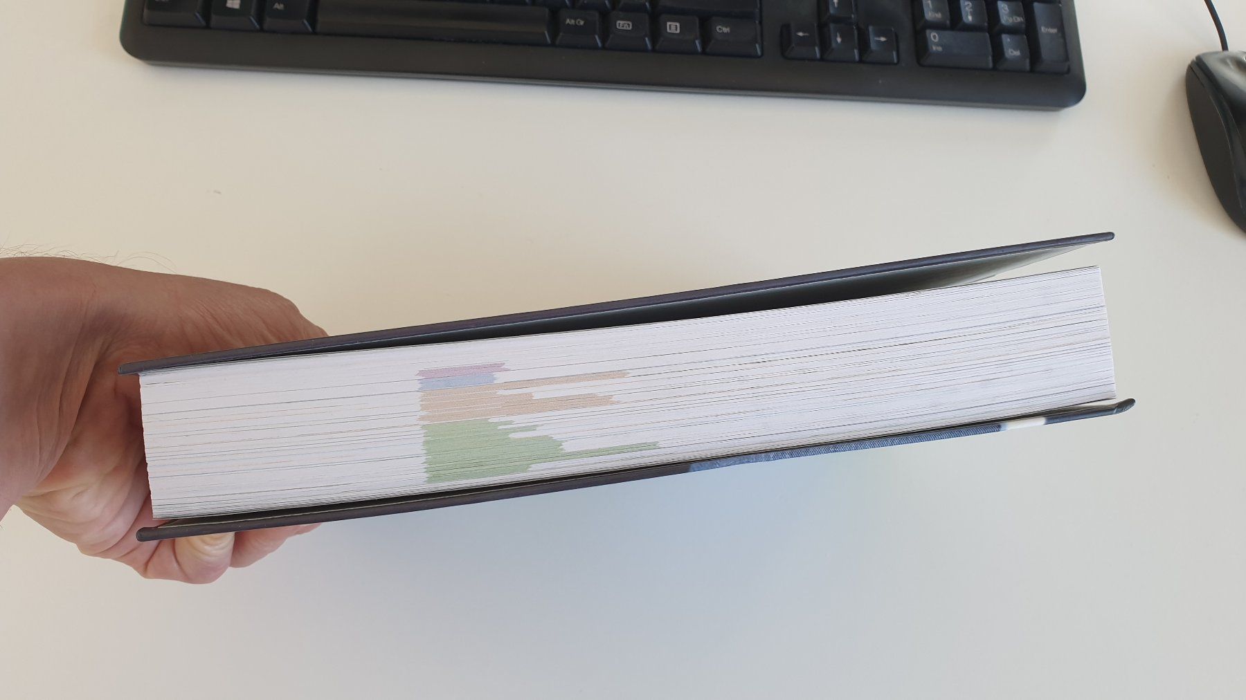 Libri: Niko Rittenau - Vegan-Klischee ade – Usato da Stäfa venduto da Supertramp73 3
