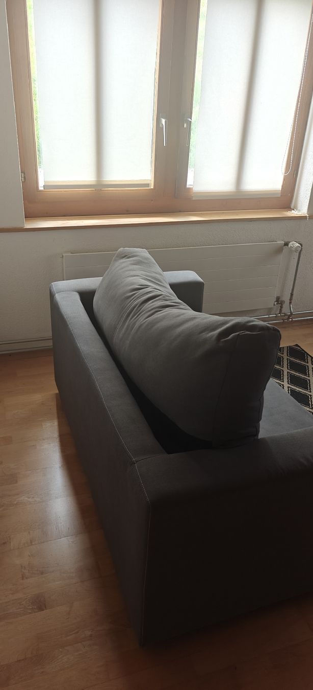Divani: Convertible sofa – Usato da Mönchaltorf venduto da aar_l729 2