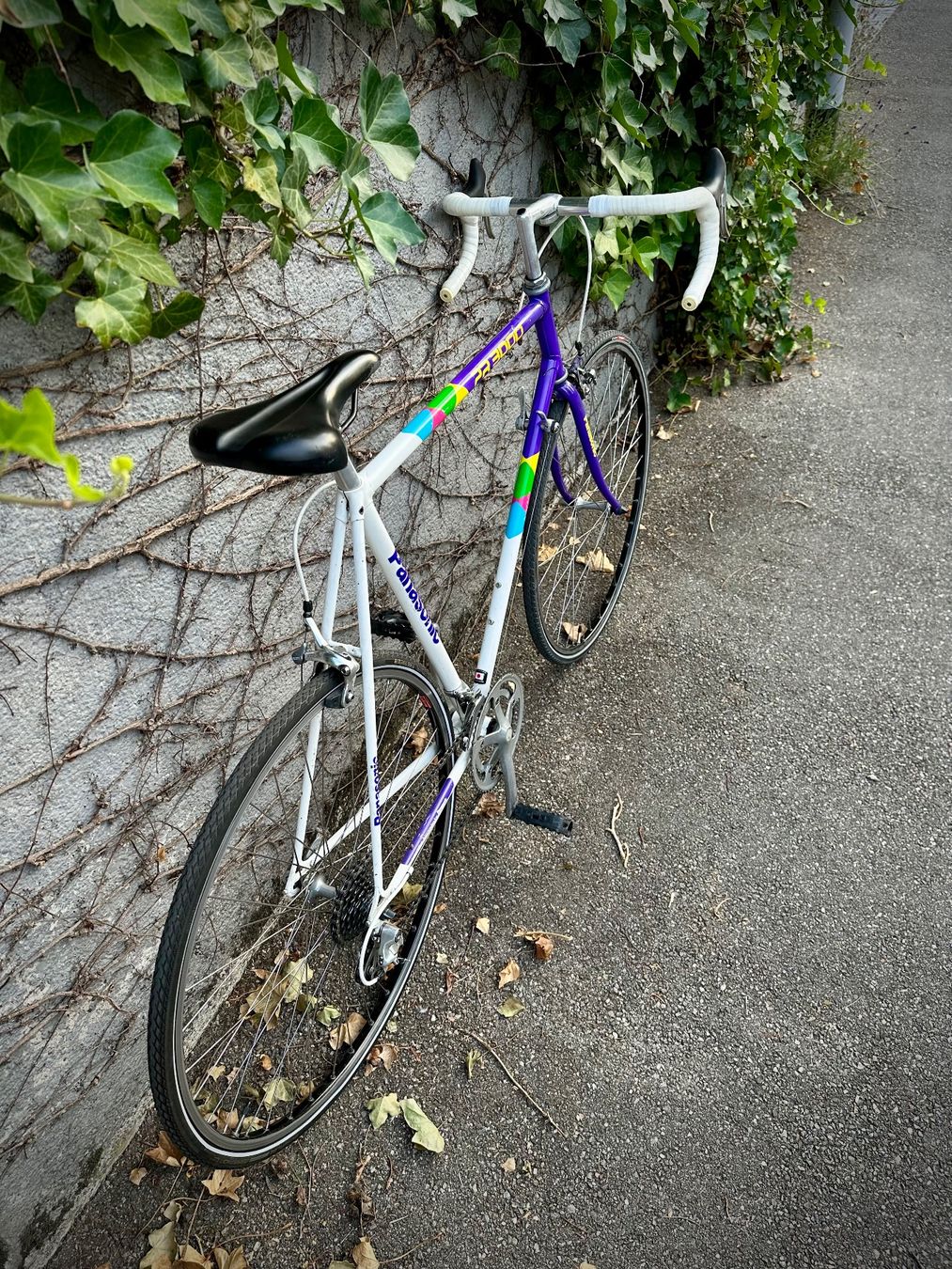 Panasonic Biciclette: Panasonic PR 3000 Vintage Rennvelo – Usato da Binningen venduto da Globe_21 3