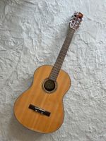 Fender Gitarre FC-100