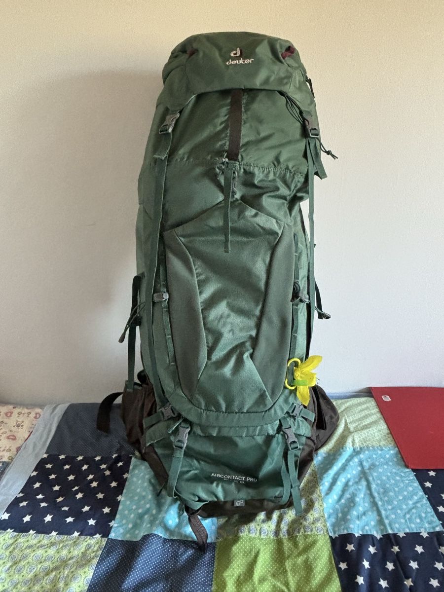 Deuter Sacs à dos: Rucksack – Neuf (Voir description) à Winterthur par Eisenbahn3 3