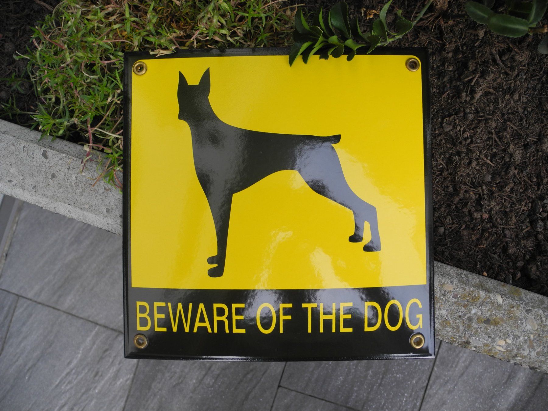 Insegne: BEWARE OF THE DOG – Nuovo (secondo la descrizione) da Reinach AG venduto da Huckleberrysix 1