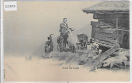 Dans les Alpes - Ziegen chevres