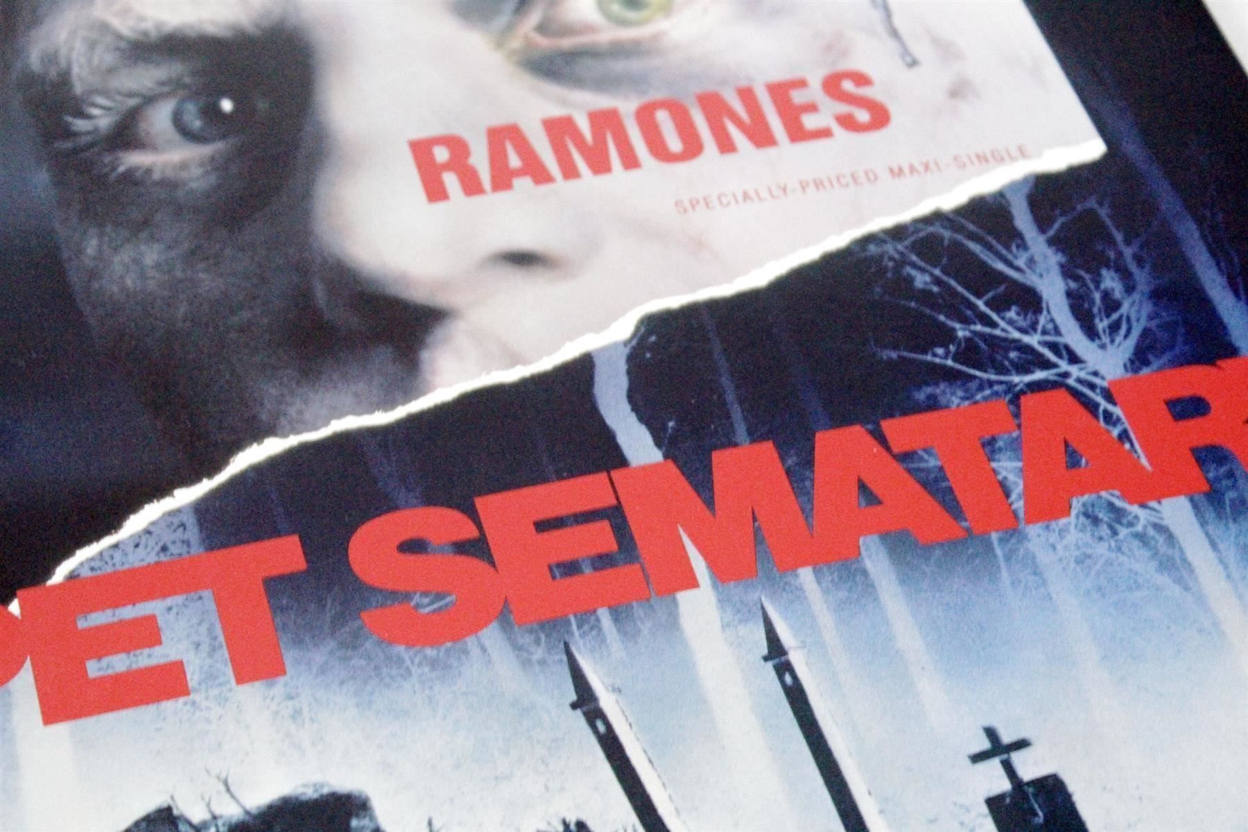 Dischi in vinile: RAMONES: Pet Sematary / Sheena is a... – Usato da Bern venduto da vinyl-heaven