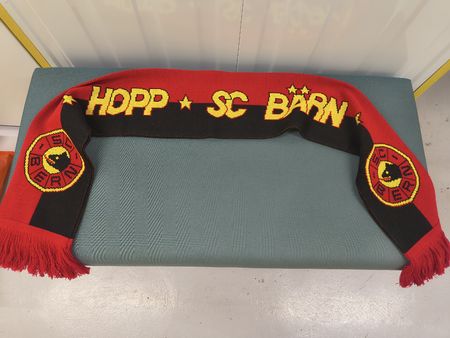 SCB Fan-Schal, ca. 1.2m
