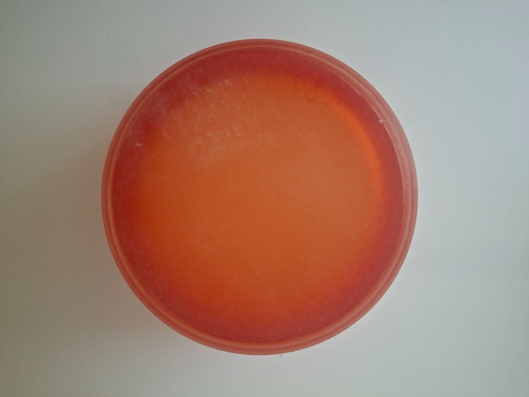 Vasi & Recipienti: BELL ARTE  Vase / Cachepot  sandgestrahltes Glas  massiv – Usato da Zürich venduto da Daniel517 4