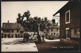 AK Tannay, Un Rue, Sous les Platanes