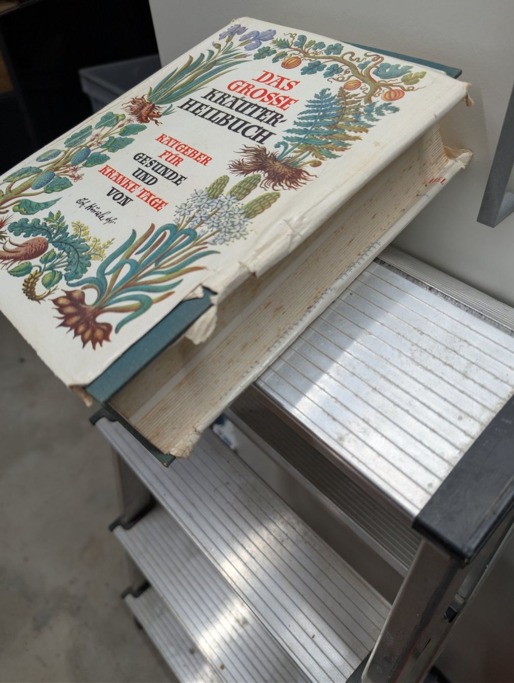 Bücher: Antikes Kräuter Heilbuch – Gebraucht aus Wynau von Zebrafurz 1