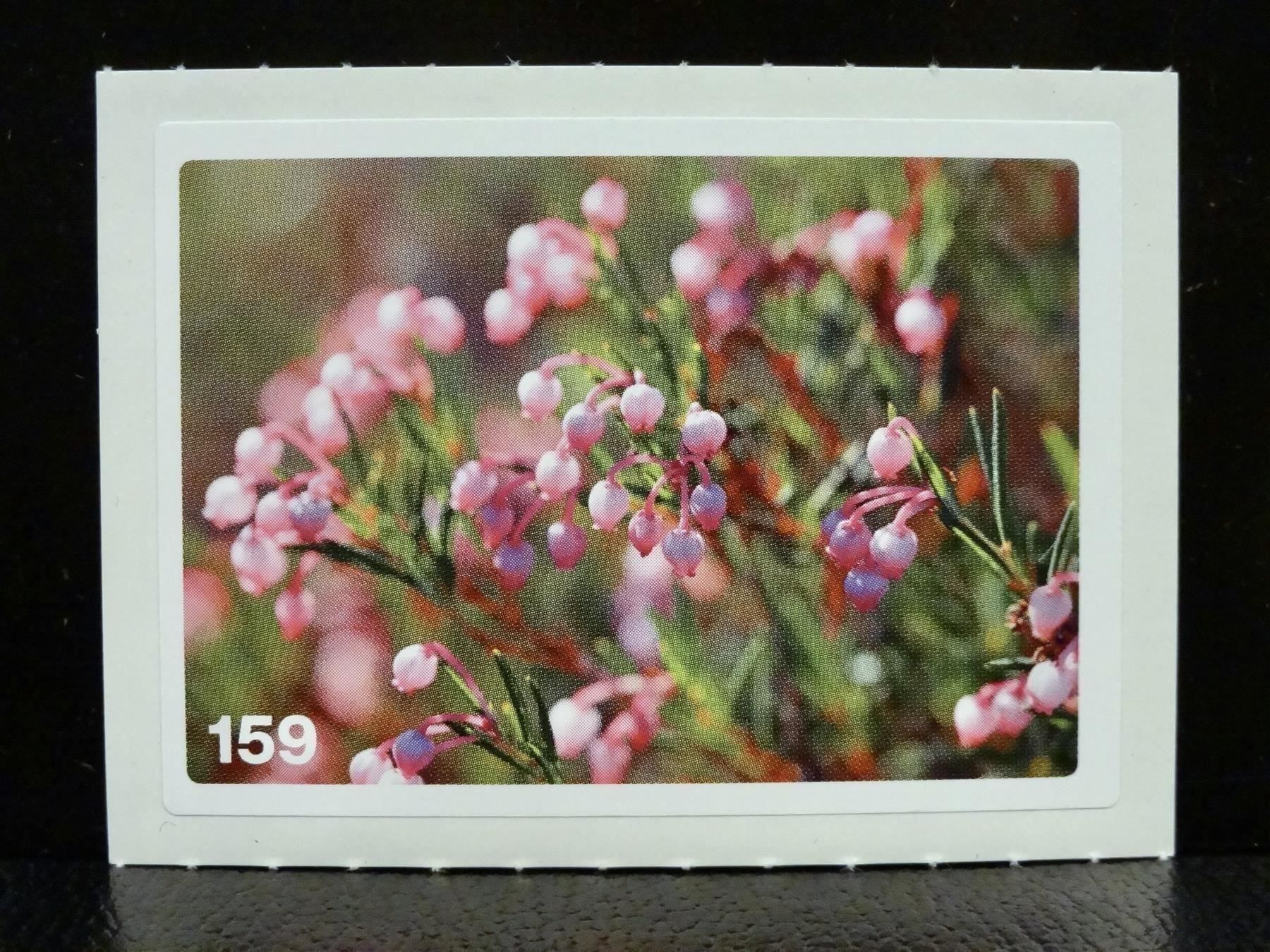Migros Sammelbilder & Trading cards: MIGROS MANIA Nature Detectives Nr. 159 – Gebraucht aus Kerzers von zimmergruen