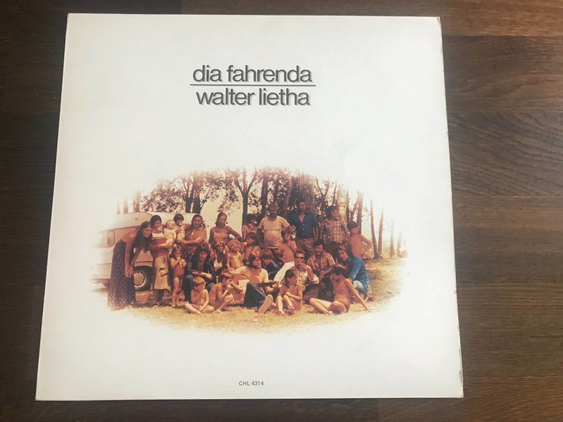 Dischi in vinile: WALTER LIETHA - Dia Fahrenda – Usato da Buchs AG venduto da Archie