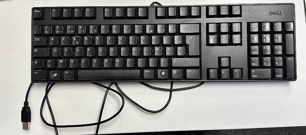 Tastiere: Clavier filaire Dell – Usato da Genève venduto da JWLIU 3