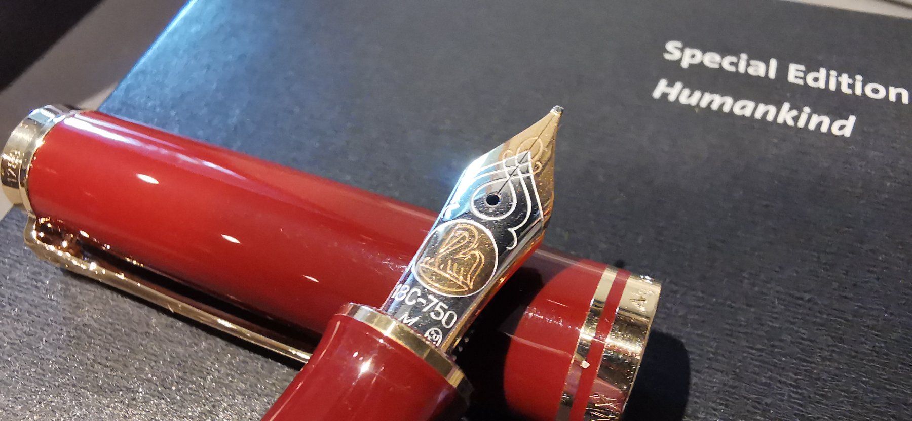 Penna & Evidenziatori: Füllfederhalter Pelikan Special Edition Expo 2000 – Nuovo (secondo la descrizione) da Niederbuchsiten venduto da Haeschmi 1