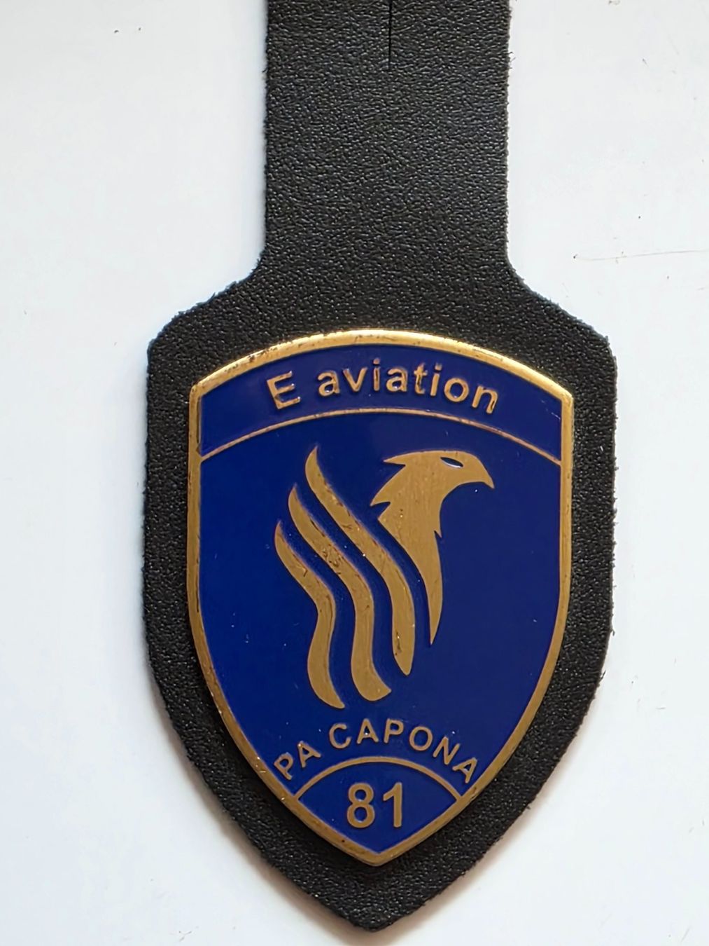 Schweizer Armee Placchette & Badge: Luftwaffe Abzeichen Pucelle E Aviation Payerne – Nuovo (secondo la descrizione) da Nyon venduto da freetoys08