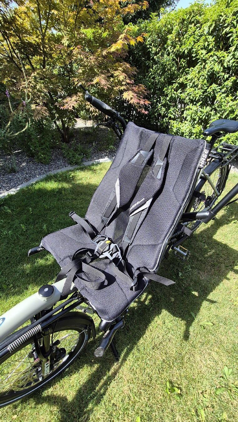 Biciclette: Hase Pino Steps, E-Bike -Tandem  – Usato da Buchrain venduto da Thomym 3