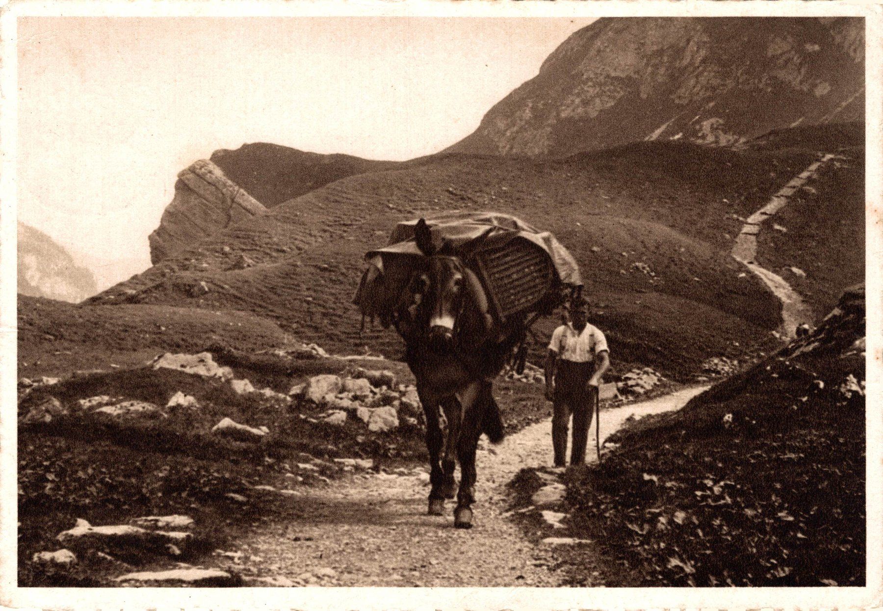 Ansichtskarten: Alp-Idyll. Mann mit Packesel – Gebraucht aus Bronschhofen von Astore