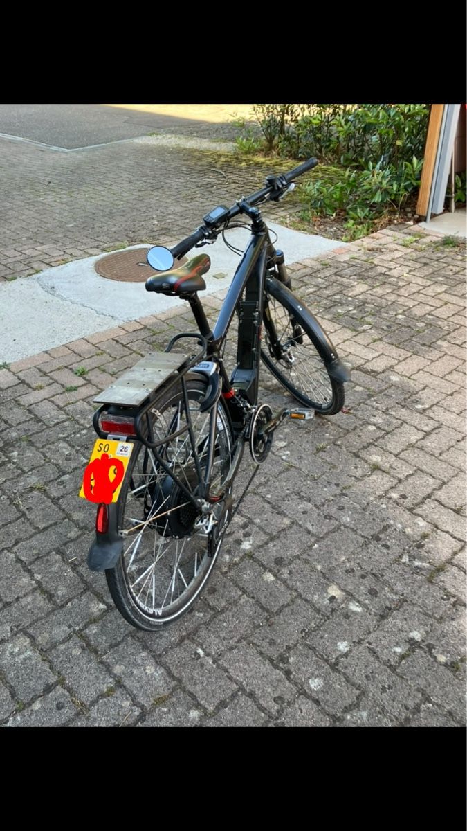 Flyer Vélos: Flyer Vollblut 45km/h – Défectueux à Lommiswil par HS-Schmitte 1