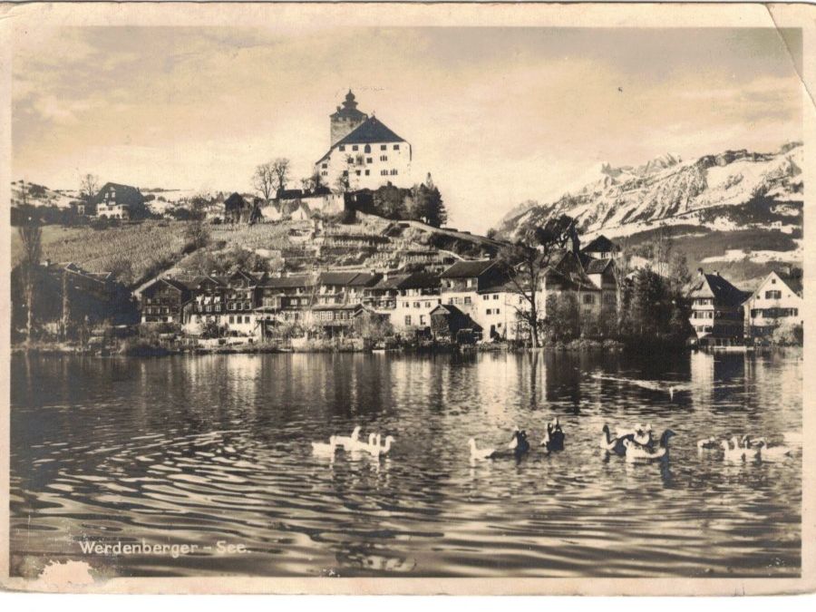 Cartoline postali: Werdenberg See Enten Schloss Buchs – Usato da Widnau venduto da Seppl480