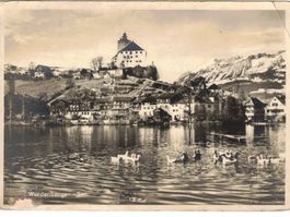 Werdenberg See Enten Schloss Buchs