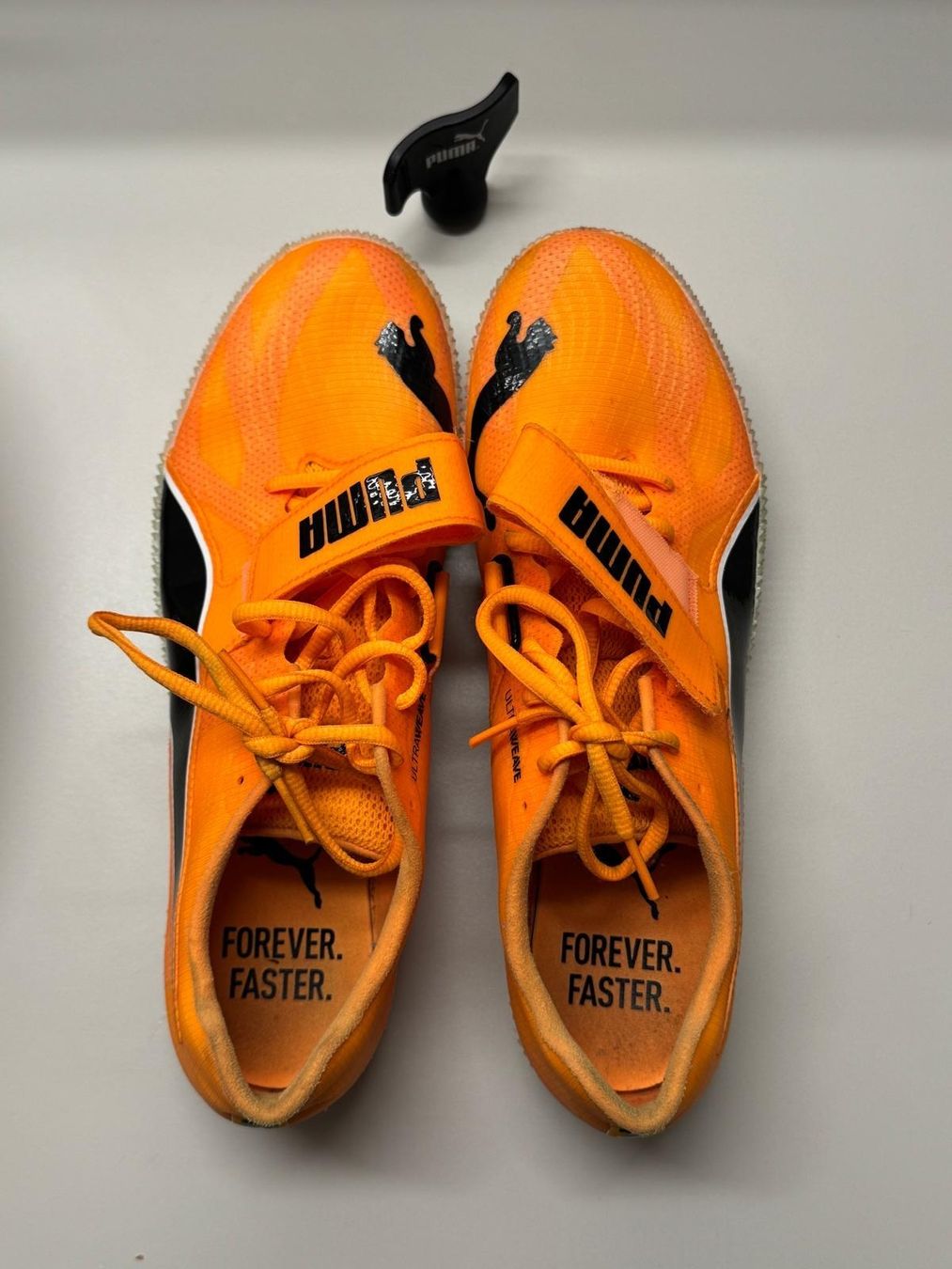 Puma Scarpe da uomo: Puma Evospeed Sprintschuhe, Orange, Gr. 44.5 mit Spikes! – Usato da Oberuzwil venduto da FJC