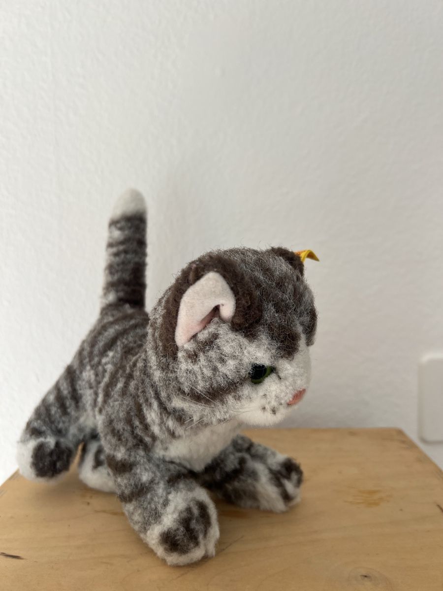 Steiff Giocattoli: Steiff Katze Filz guter Zustand – Usato da winterthur venduto da Cw5 2
