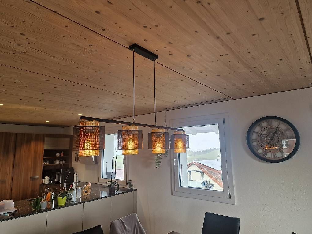 Kronleuchter & Deckenlampen: Wohnzimmer / Esstisch Lampe – Gebraucht aus Menzberg von bea_yc6x 1