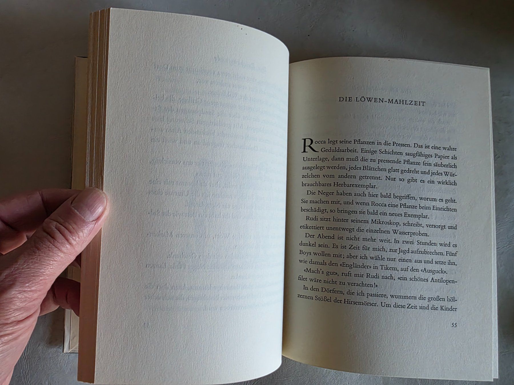 Libri: Durch Steppen und Urwald - Helmut Knorr - 1954 – Usato da Walterswil BE venduto da Lonitti 9