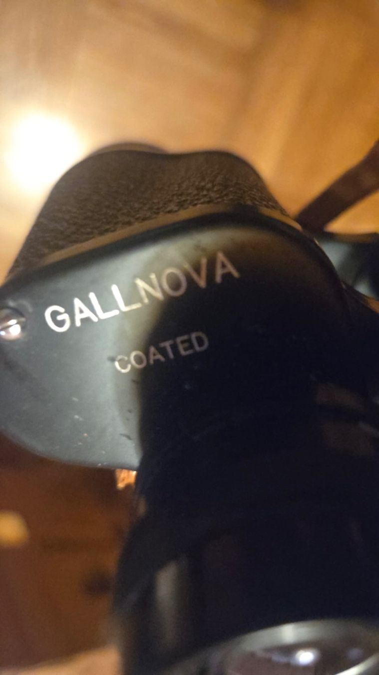 Binocoli: Jumelles modèle Gallnova – Usato da Vuadens venduto da vin_p8k5 2