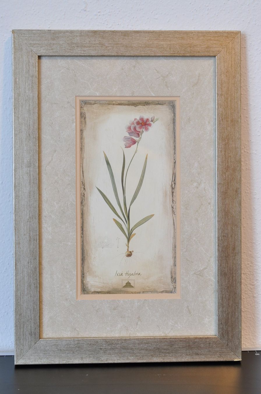 Gemälde: Quadri botanici con fiori, set di 3, originali – Gebraucht aus Vezia von lel_xfz5 2